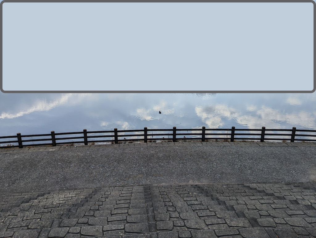 Pixel 6 Pro通常撮影モードで撮った池と鴨